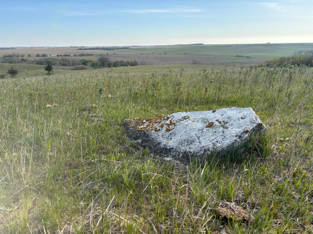 Image for 160+/- Acres in Charles Mix County, South Dakota >>>Online ONLY Real Estate Auction