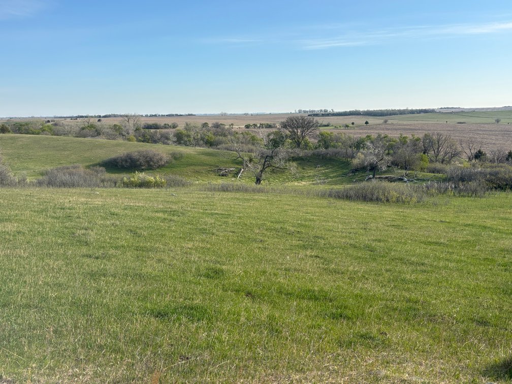 Image for 160+/- Acres in Charles Mix County, South Dakota >>>Online ONLY Real Estate Auction