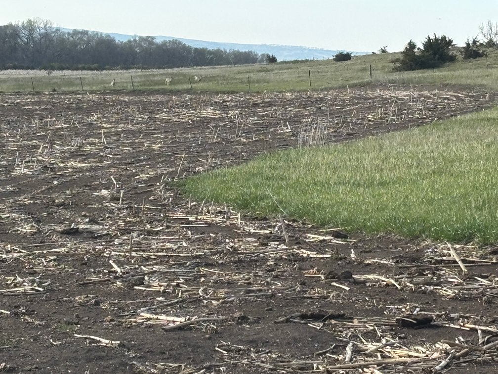 Image for 160+/- Acres in Charles Mix County, South Dakota >>>Online ONLY Real Estate Auction