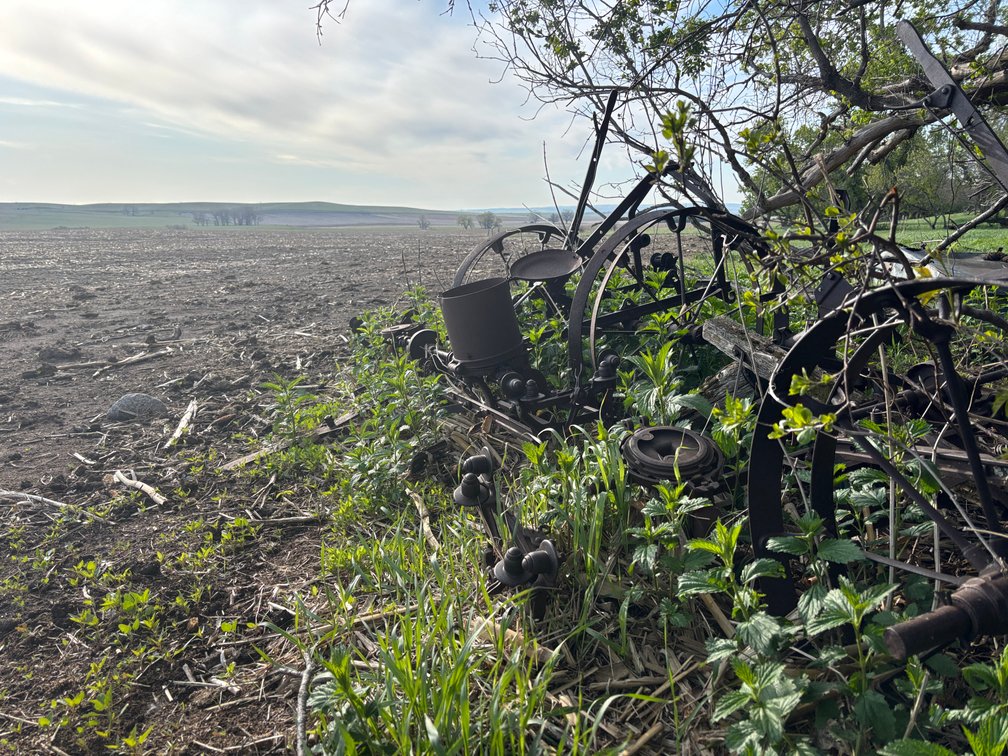 Image for 160+/- Acres in Charles Mix County, South Dakota >>>Online ONLY Real Estate Auction