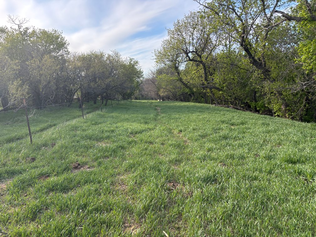 Image for 160+/- Acres in Charles Mix County, South Dakota >>>Online ONLY Real Estate Auction