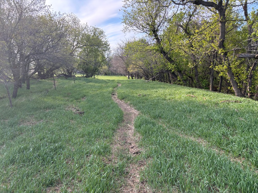 Image for 160+/- Acres in Charles Mix County, South Dakota >>>Online ONLY Real Estate Auction
