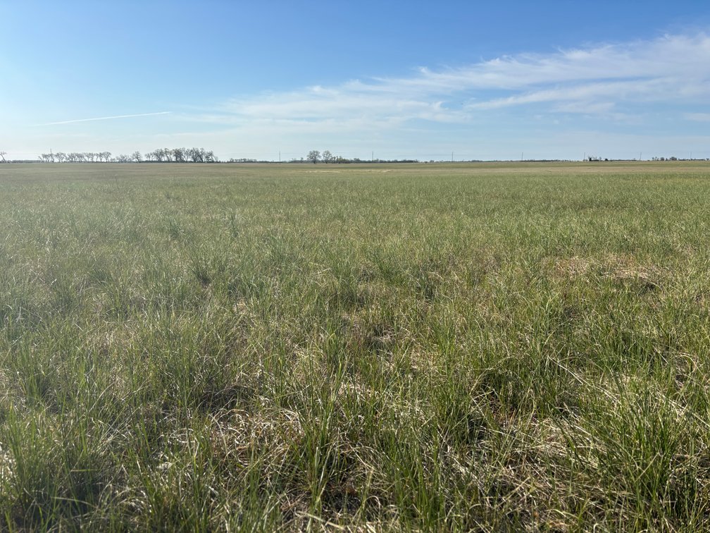 Image for 160+/- Acres in Holt County, NE