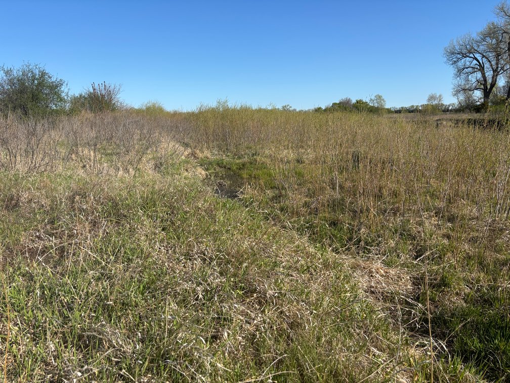 Image for 160+/- Acres in Holt County, NE
