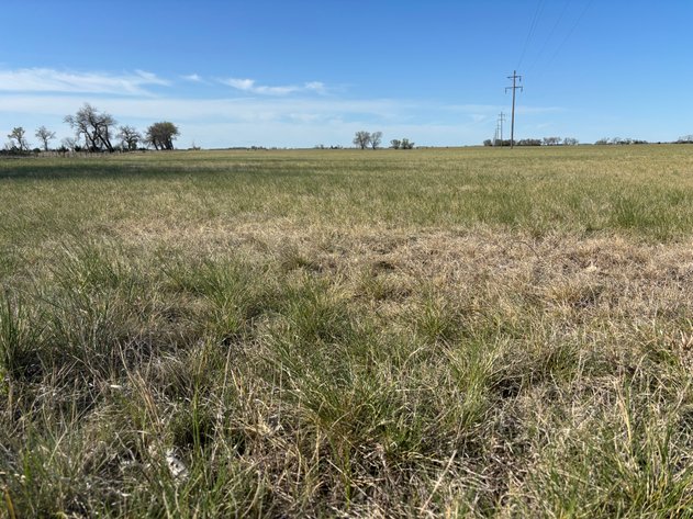Image for 160+/- Acres in Holt County, NE