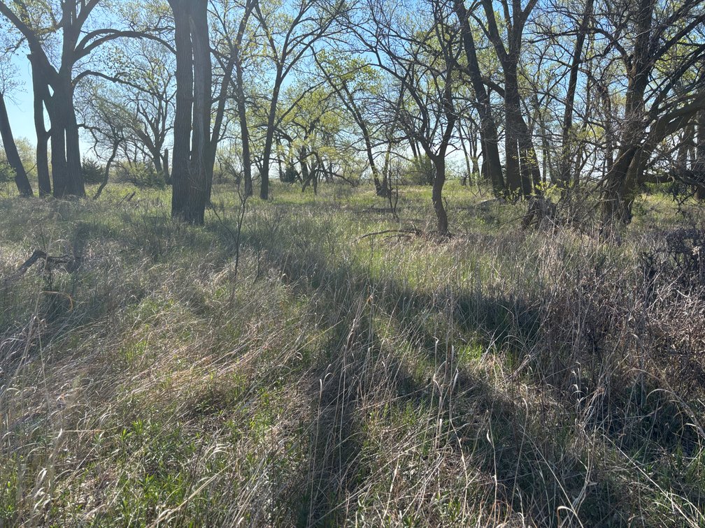 Image for 160+/- Acres in Holt County, NE