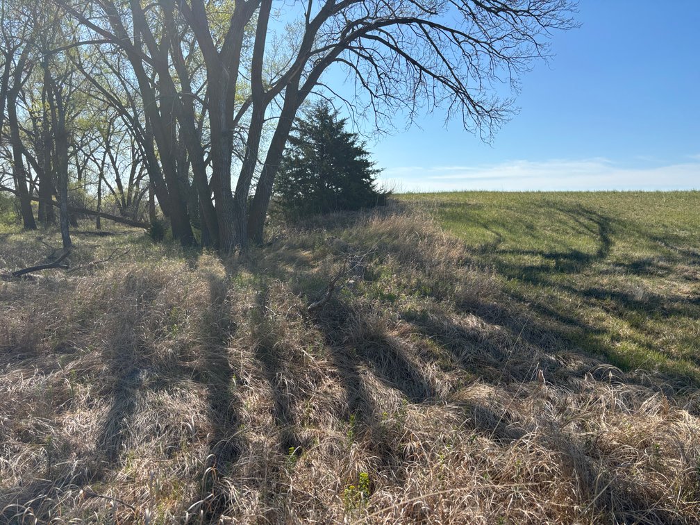 Image for 160+/- Acres in Holt County, NE