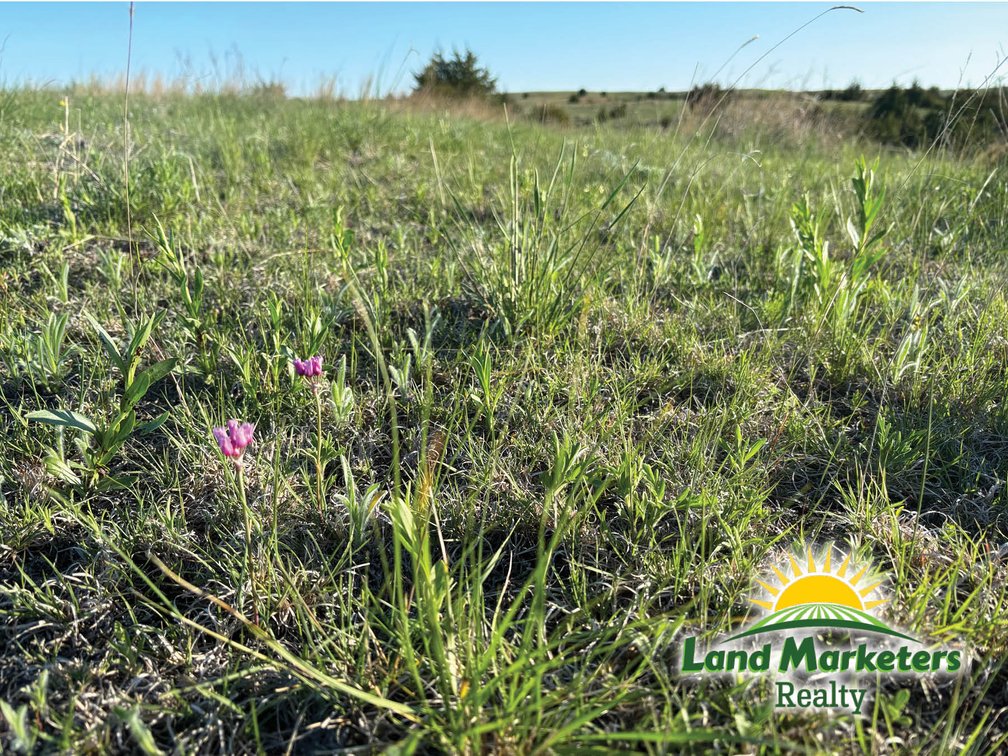 Image for 400+/- Acres in Northern Holt County, NE