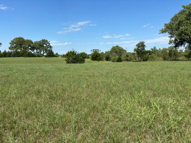 Image for O'Neill, Nebraska Hay Meadow Online Land Auction