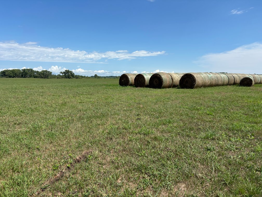 Image for O'Neill, Nebraska Hay Meadow Online Land Auction