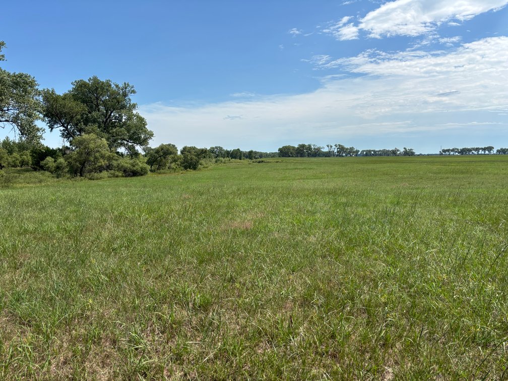 Image for O'Neill, Nebraska Hay Meadow Online Land Auction