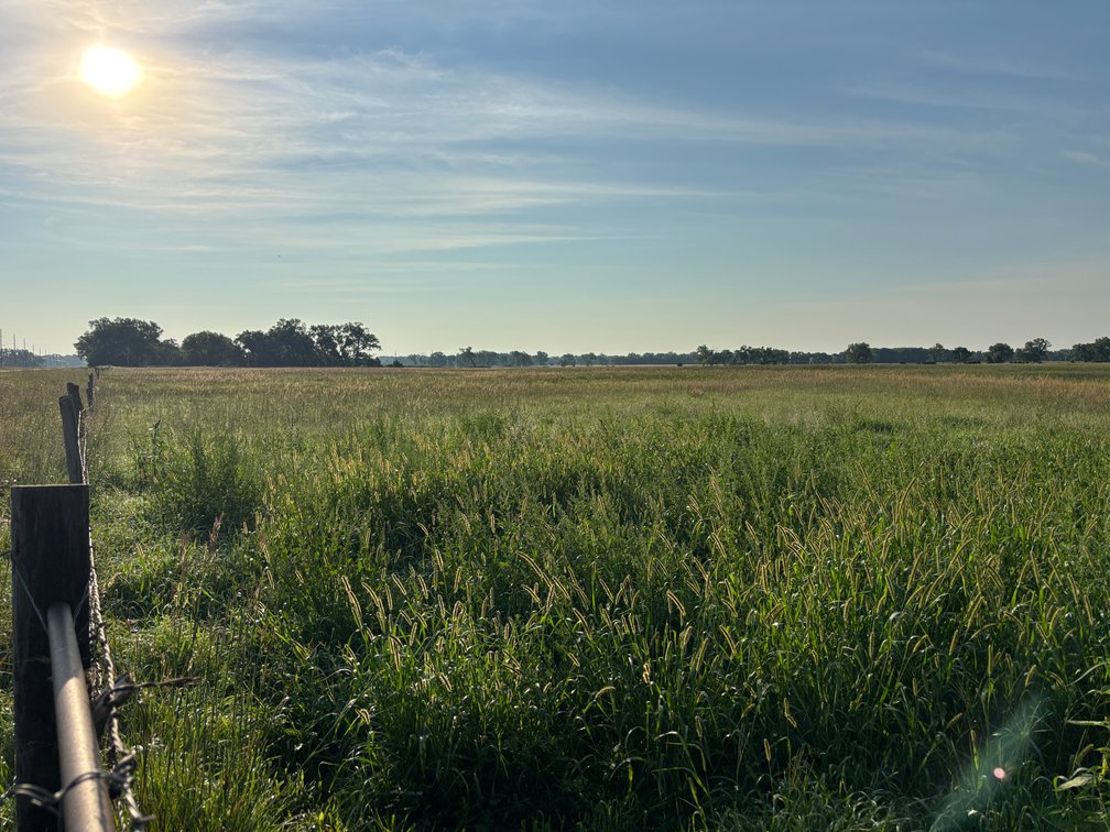 Image for Chambers, Nebraska Highway 95 Hay Meadow Online Auction