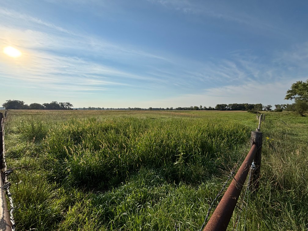 Image for Chambers, Nebraska Highway 95 Hay Meadow Online Auction