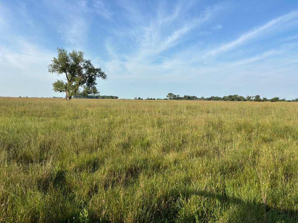 Image for Chambers, Nebraska Highway 95 Hay Meadow Online Auction
