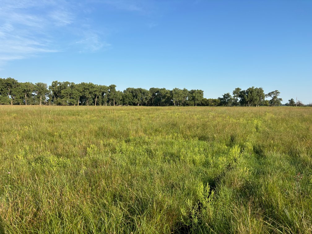 Image for Chambers, Nebraska Highway 95 Hay Meadow Online Auction
