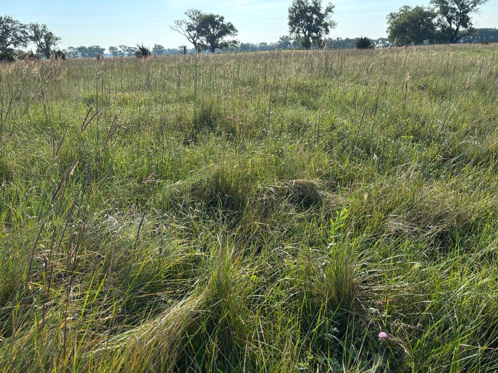 Image for Chambers, Nebraska Highway 95 Hay Meadow Online Auction