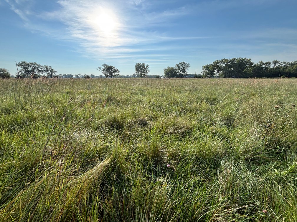 Image for Chambers, Nebraska Highway 95 Hay Meadow Online Auction