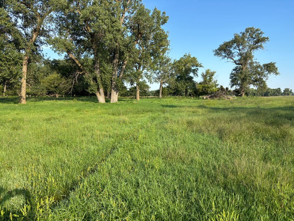Image for Chambers, Nebraska Highway 95 Hay Meadow Online Auction