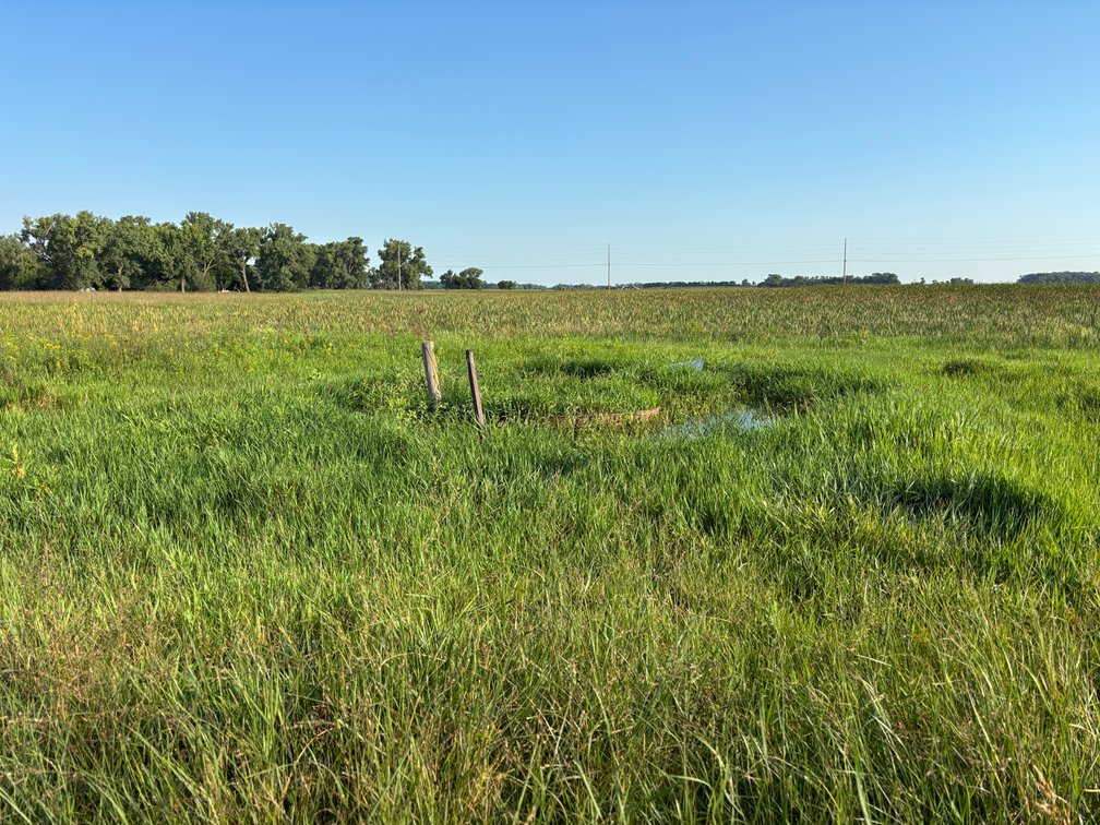 Image for Chambers, Nebraska Highway 95 Hay Meadow Online Auction