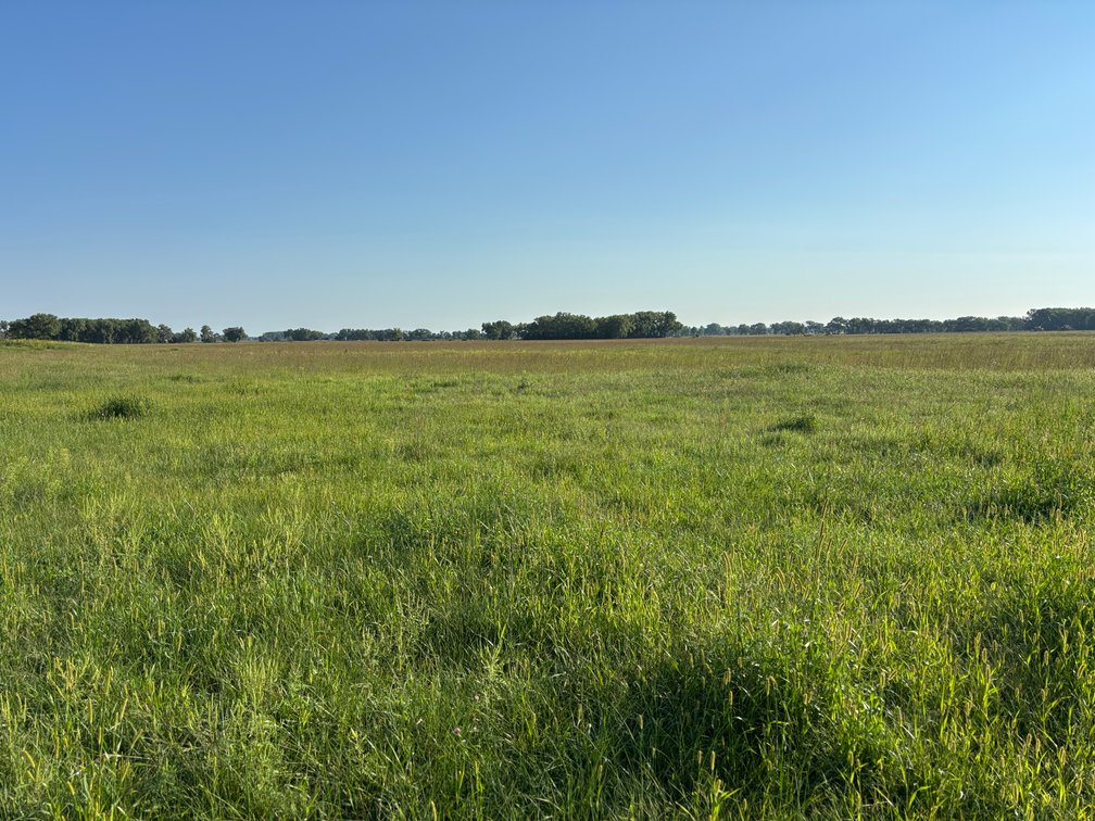 Image for Chambers, Nebraska Highway 95 Hay Meadow Online Auction