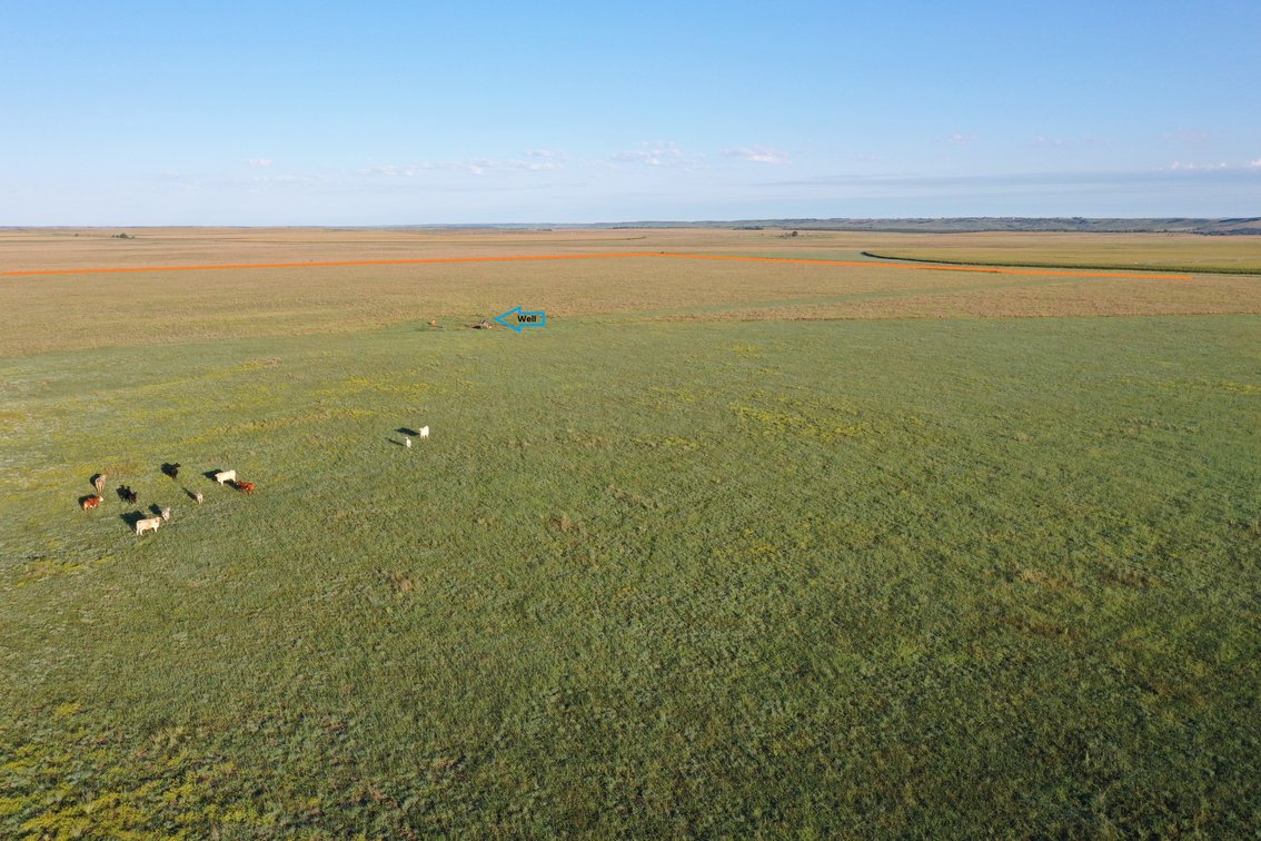 Image for Northern Holt County Hard Grass Quarter