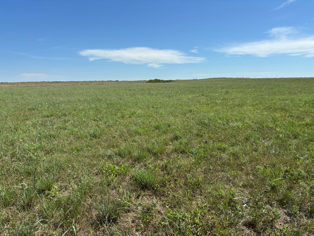 Image for Northern Holt County Hard Grass Quarter