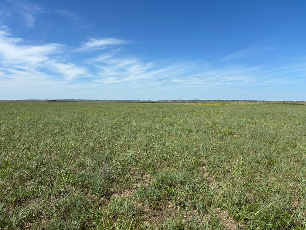 Image for Northern Holt County Hard Grass Quarter