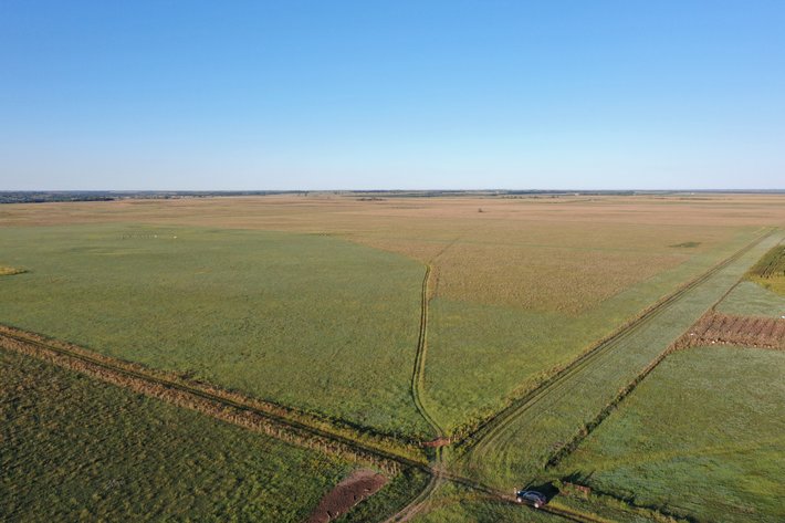 Image for Northern Holt County Hard Grass Quarter