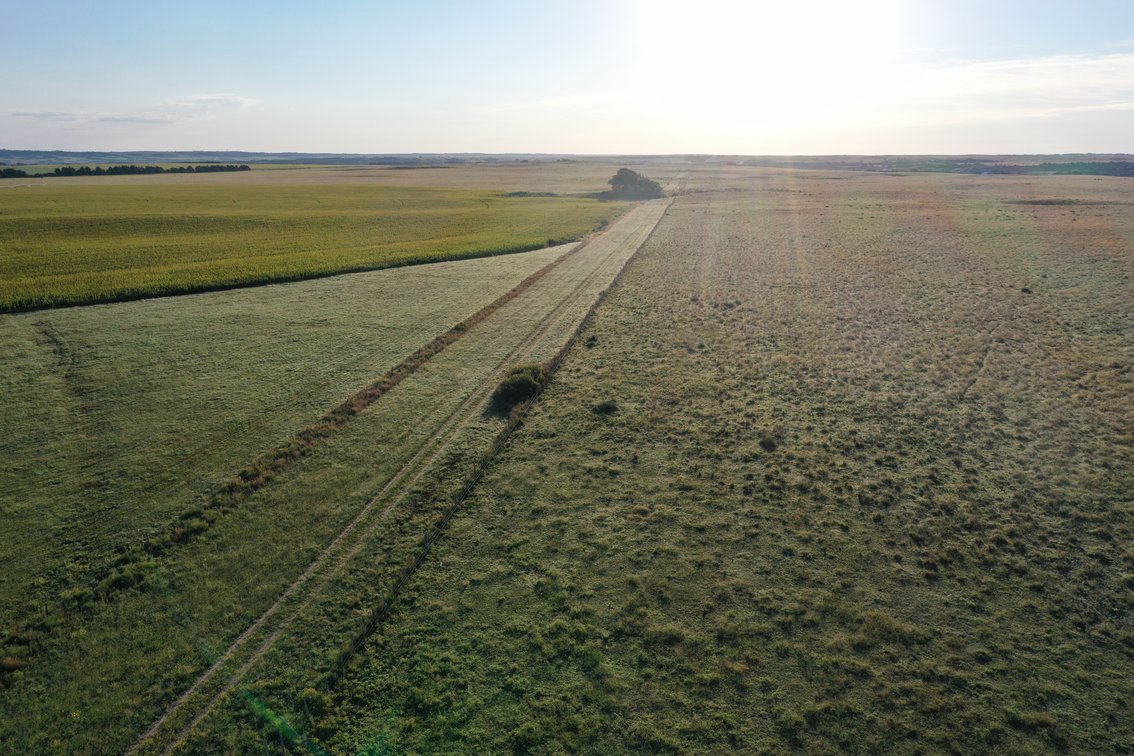 Image for Northern Holt County Hard Grass Quarter