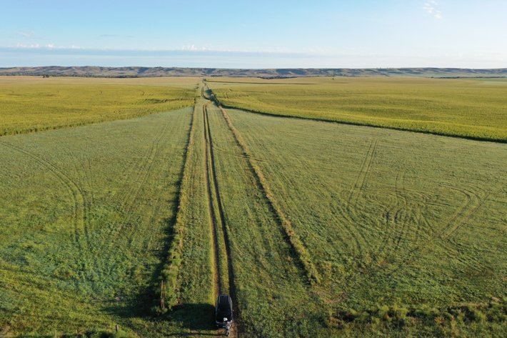 Image for Northern Holt County Hard Grass Quarter