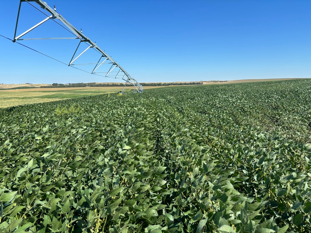 Image for 88.8 +/- Acres in Logan County, NE