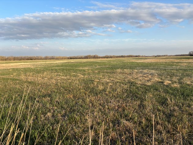 Image for 160+/- Acres in Southern Holt County, NE