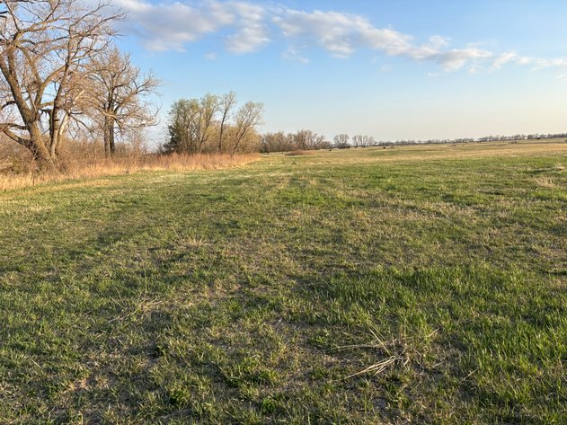 Image for 160+/- Acres in Southern Holt County, NE