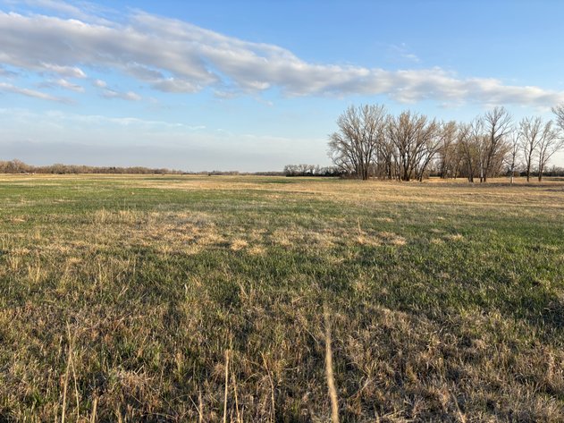 Image for 160+/- Acres in Southern Holt County, NE