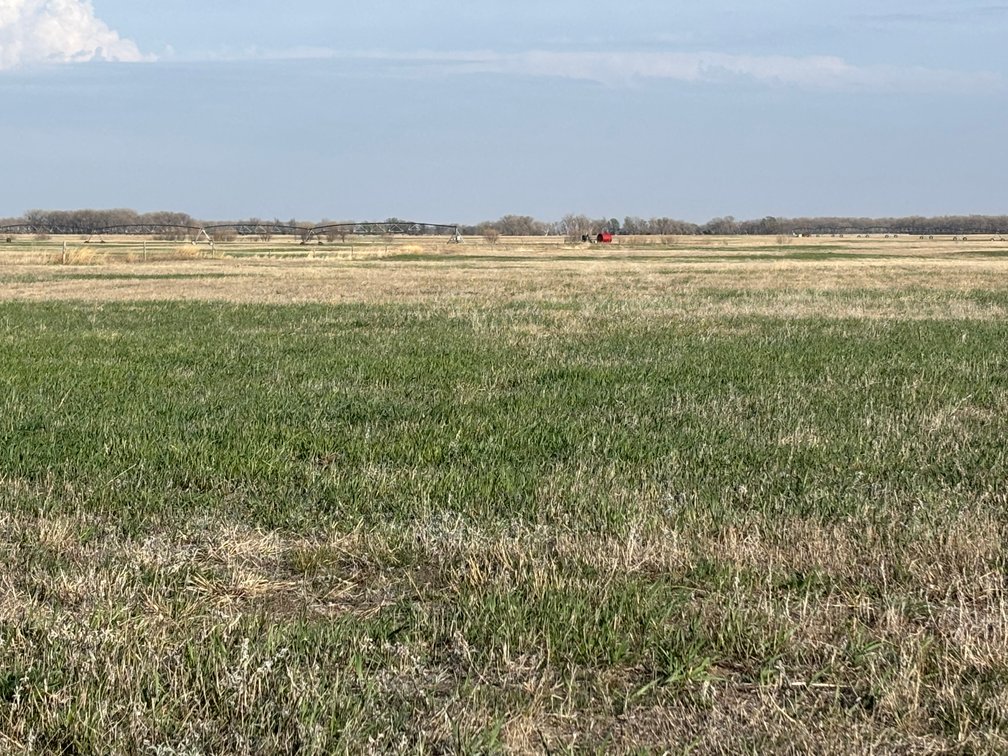 Image for 639.48+/- Acres in Southern Holt County, NE