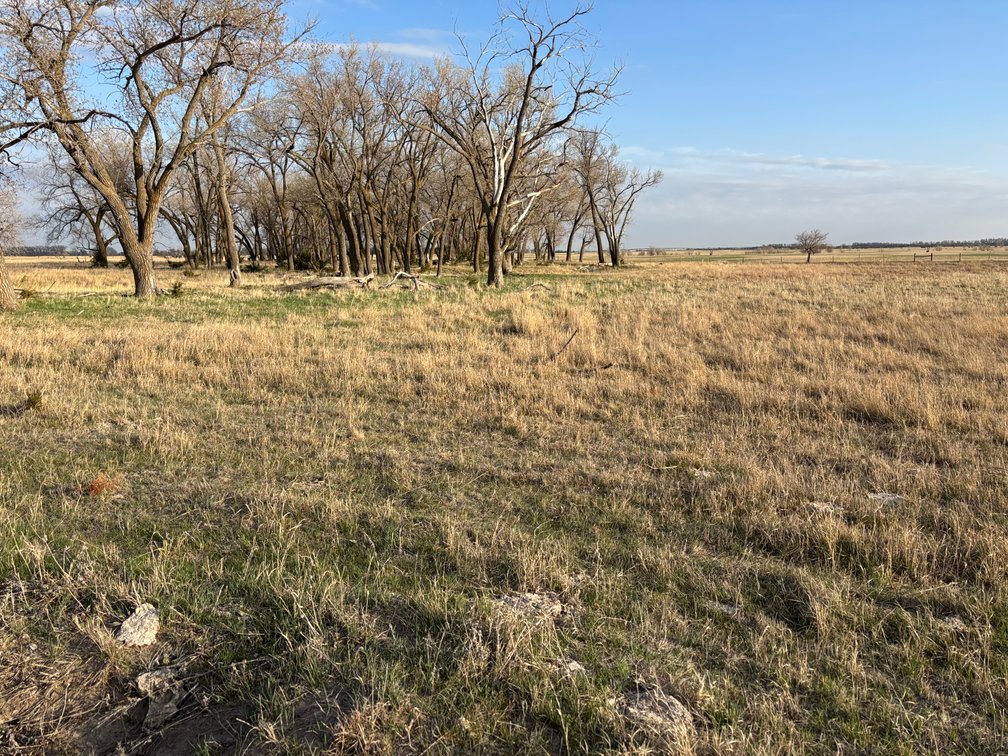 Image for 639.48+/- Acres in Southern Holt County, NE