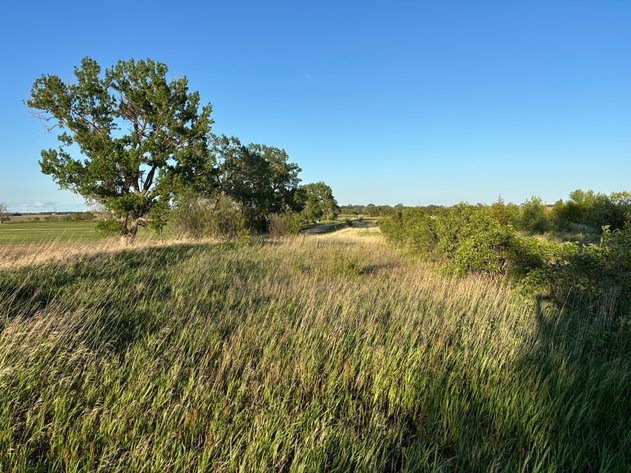 Image for 160+/- Acres in Holt County East of Page, NE
