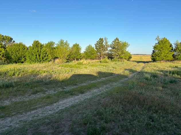 Image for 160+/- Acres in Holt County East of Page, NE