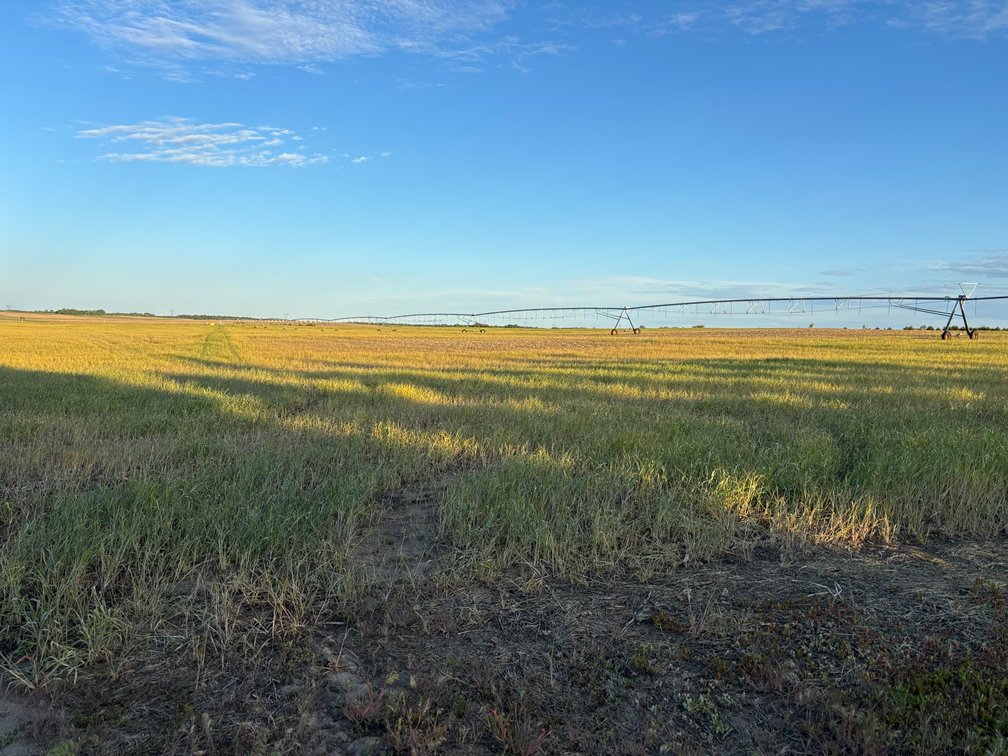 Image for 160+/- Acres in Holt County East of Page, NE