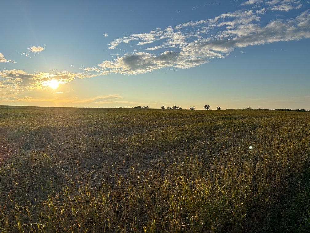 Image for 160+/- Acres in Holt County East of Page, NE