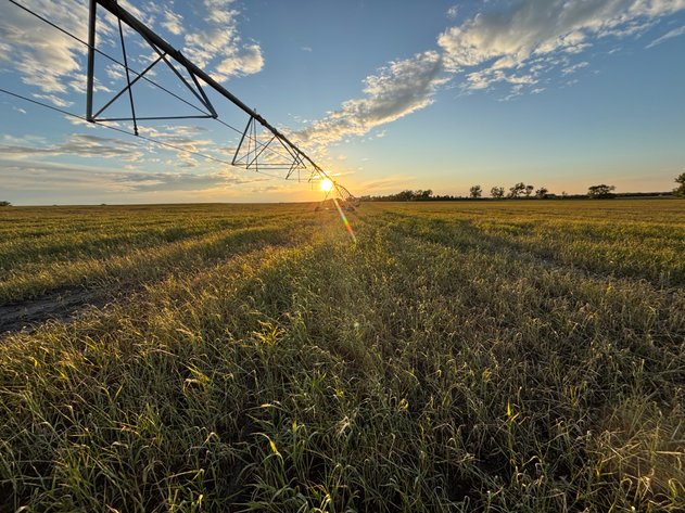 Image for 160+/- Acres in Holt County East of Page, NE