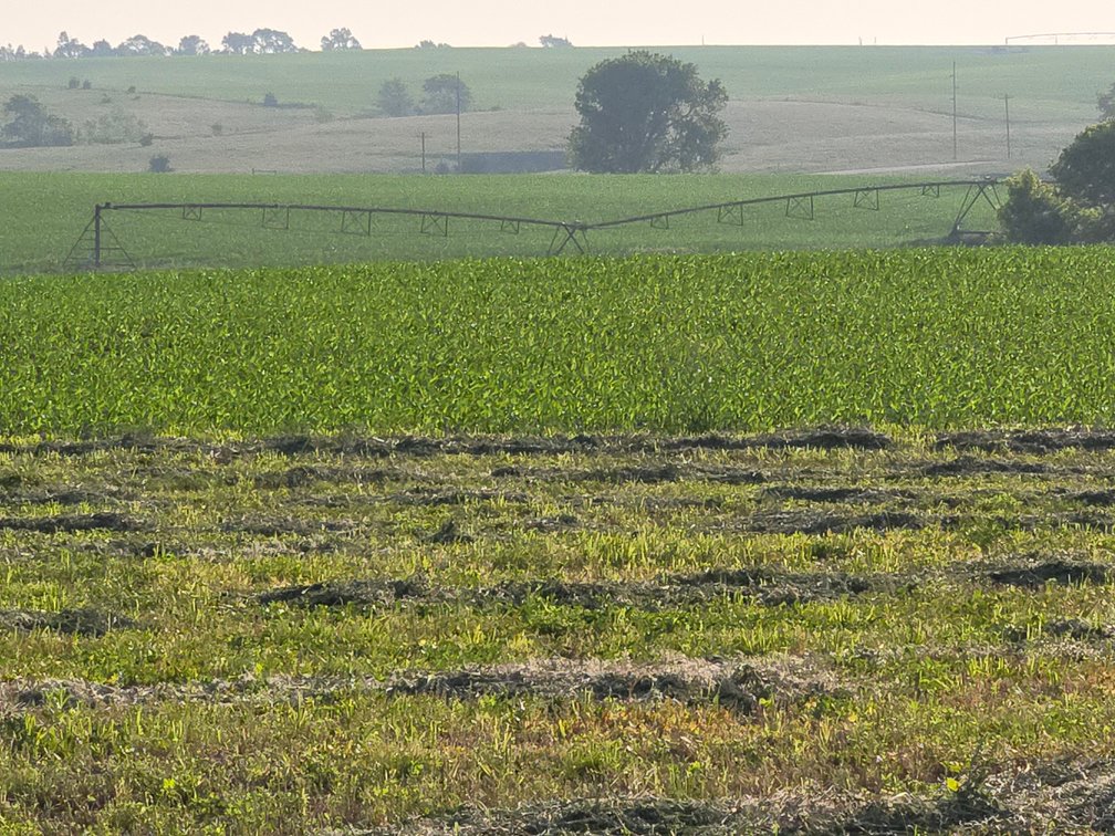 Image for Farm Headquarters with 157.06+/- Acres in Holt County, NE