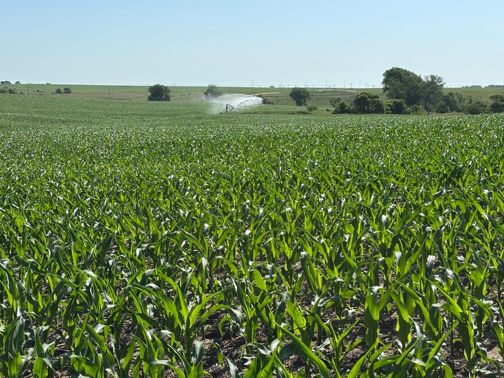 Image for Farm Headquarters with 157.06+/- Acres in Holt County, NE