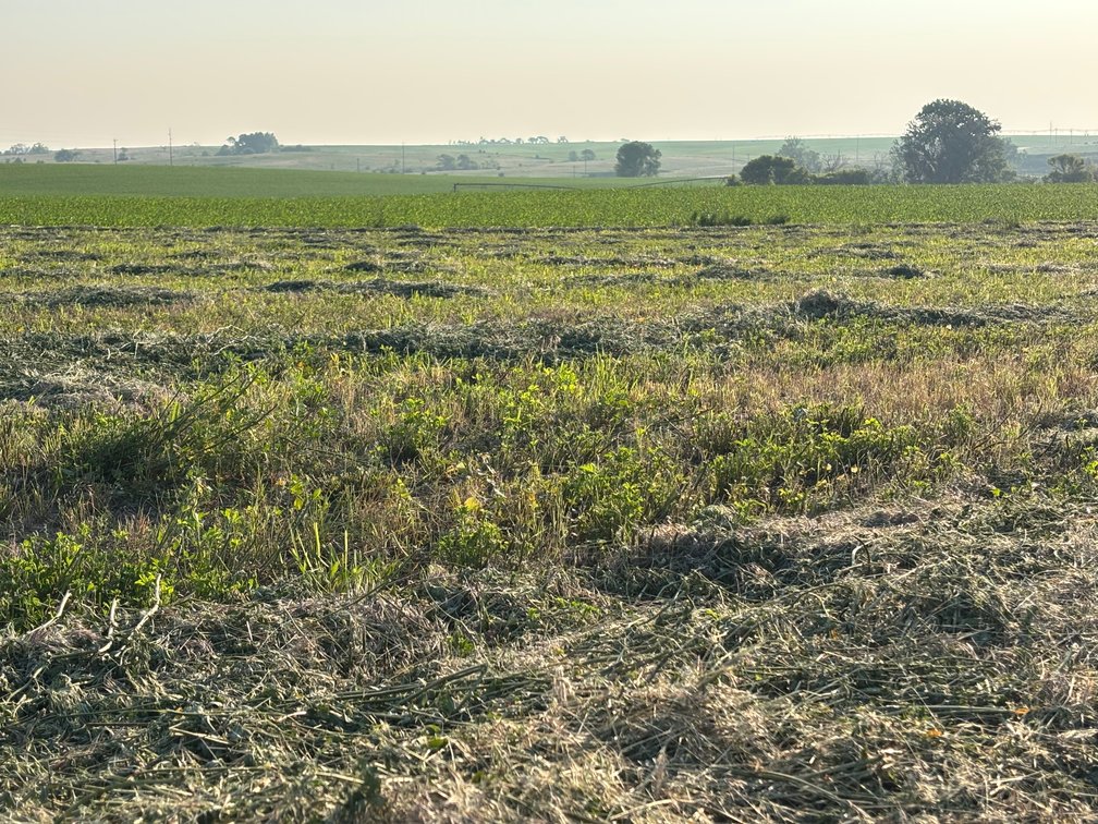 Image for Farm Headquarters with 157.06+/- Acres in Holt County, NE