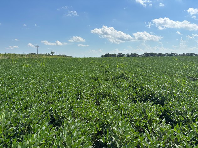 Image for 160+/- Acres in Holt County, NE North of Ewing