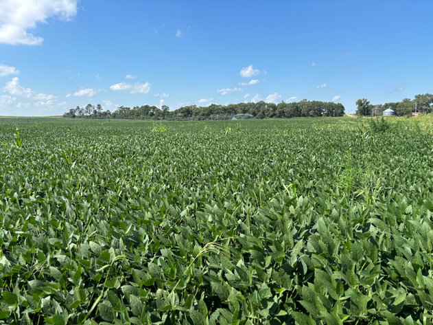 Image for 160+/- Acres in Holt County, NE North of Ewing