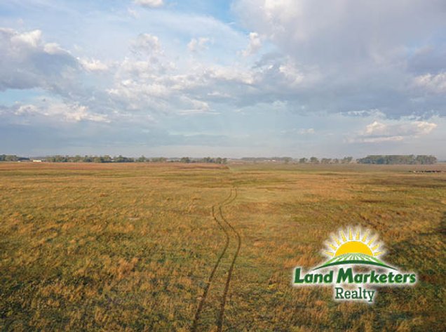 Image for 320+/- Acres located approx. 7 miles South of O'Neill, NE