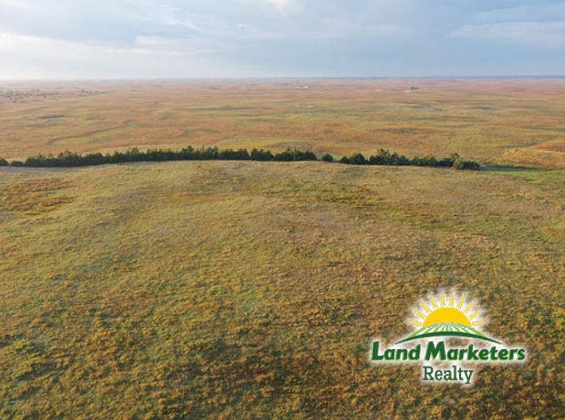 Image for 320+/- Acres located approx. 7 miles South of O'Neill, NE