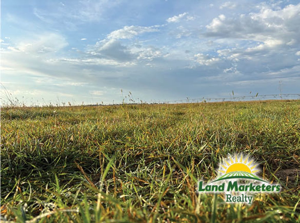 Image for 320+/- Acres located approx. 7 miles South of O'Neill, NE