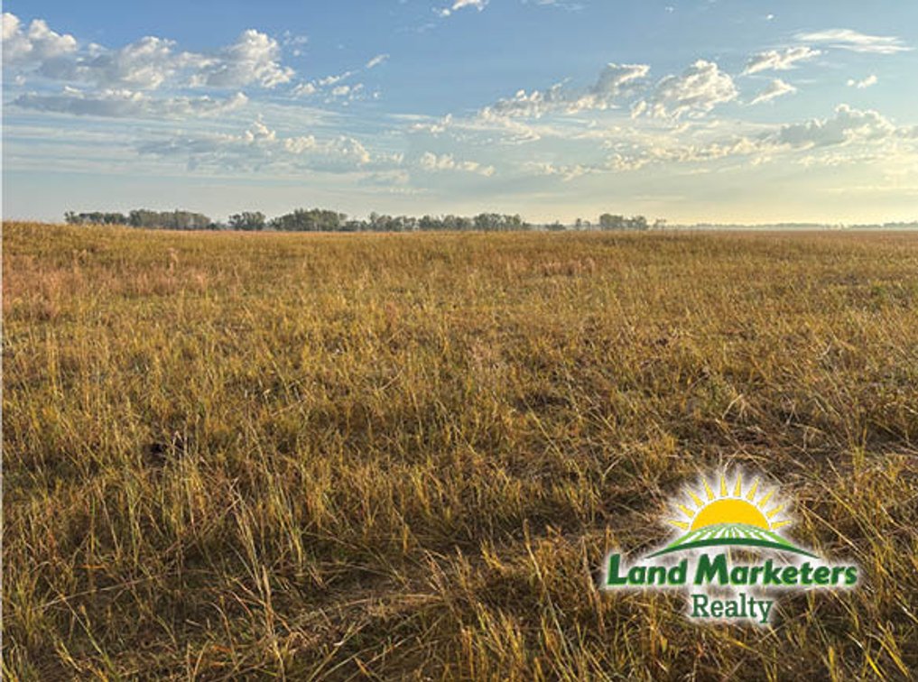 Image for 320+/- Acres located approx. 7 miles South of O'Neill, NE